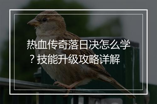 热血传奇落日决怎么学？技能升级攻略详解