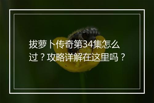 拔萝卜传奇第34集怎么过？攻略详解在这里吗？