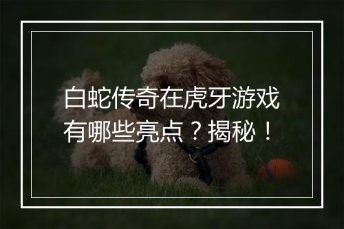 白蛇传奇在虎牙游戏有哪些亮点？揭秘！