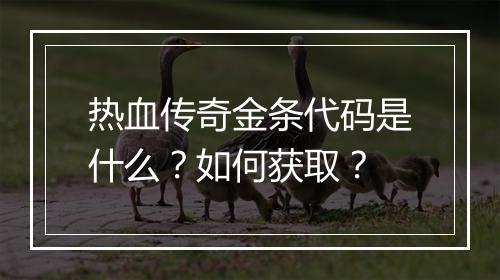 热血传奇金条代码是什么？如何获取？