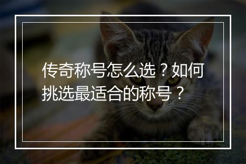 传奇称号怎么选？如何挑选最适合的称号？
