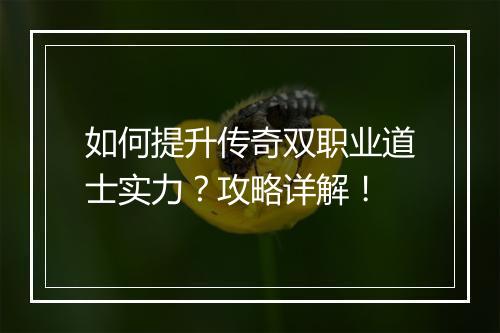如何提升传奇双职业道士实力？攻略详解！