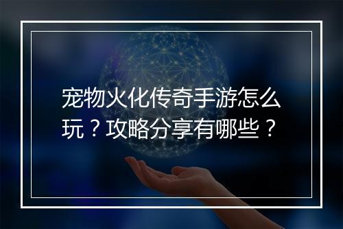 宠物火化传奇手游怎么玩？攻略分享有哪些？
