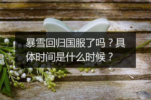 暴雪回归国服了吗？具体时间是什么时候？
