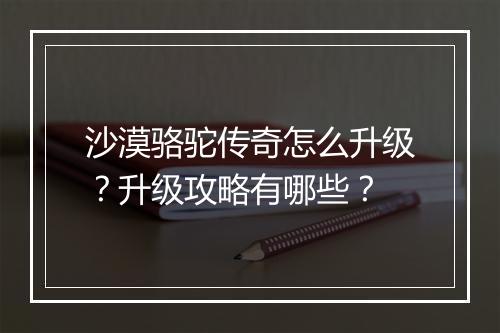 沙漠骆驼传奇怎么升级？升级攻略有哪些？