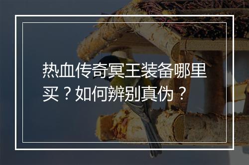 热血传奇冥王装备哪里买？如何辨别真伪？