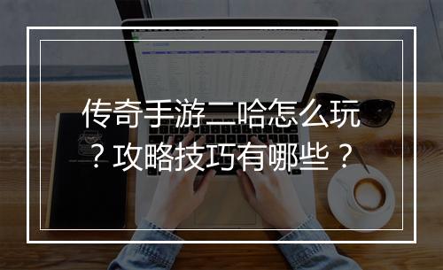 传奇手游二哈怎么玩？攻略技巧有哪些？
