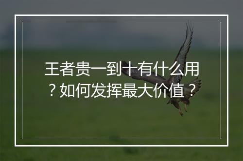 王者贵一到十有什么用？如何发挥最大价值？