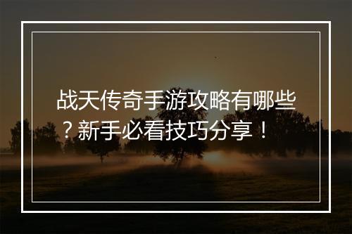 战天传奇手游攻略有哪些？新手必看技巧分享！