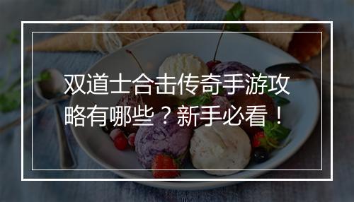 双道士合击传奇手游攻略有哪些？新手必看！