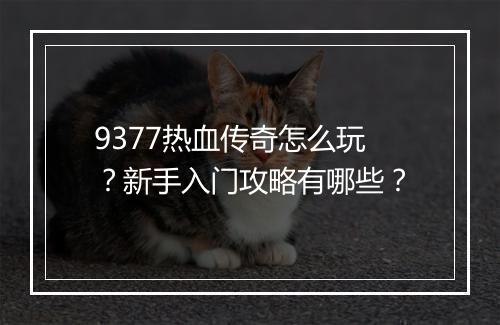 9377热血传奇怎么玩？新手入门攻略有哪些？