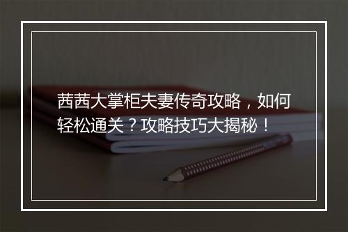 茜茜大掌柜夫妻传奇攻略，如何轻松通关？攻略技巧大揭秘！