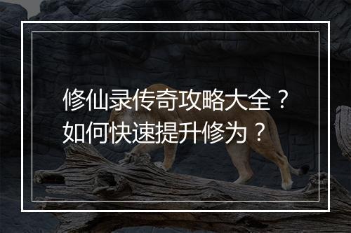修仙录传奇攻略大全？如何快速提升修为？