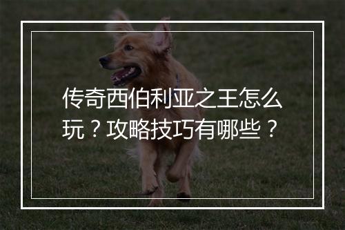 传奇西伯利亚之王怎么玩？攻略技巧有哪些？