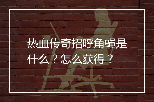 热血传奇招呼角蝇是什么？怎么获得？