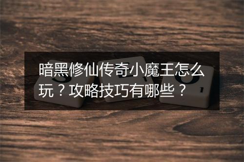 暗黑修仙传奇小魔王怎么玩？攻略技巧有哪些？