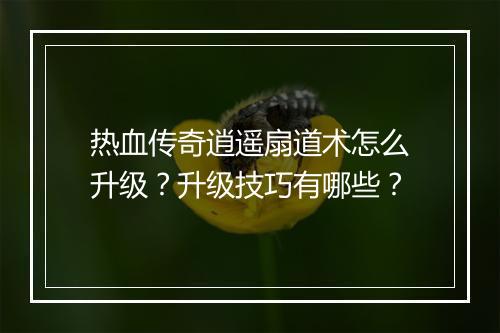 热血传奇逍遥扇道术怎么升级？升级技巧有哪些？