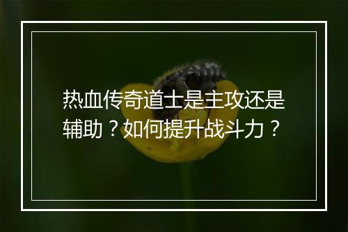 热血传奇道士是主攻还是辅助？如何提升战斗力？