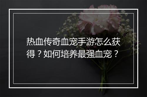 热血传奇血宠手游怎么获得？如何培养最强血宠？
