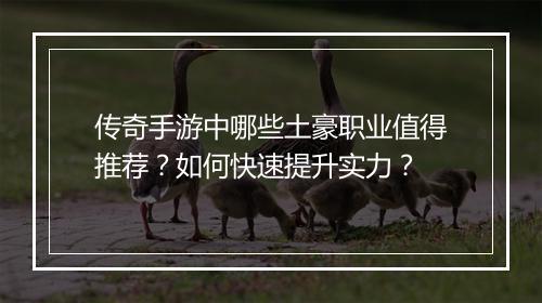 传奇手游中哪些土豪职业值得推荐？如何快速提升实力？