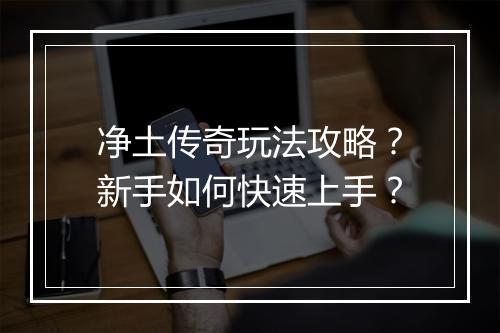 净土传奇玩法攻略？新手如何快速上手？