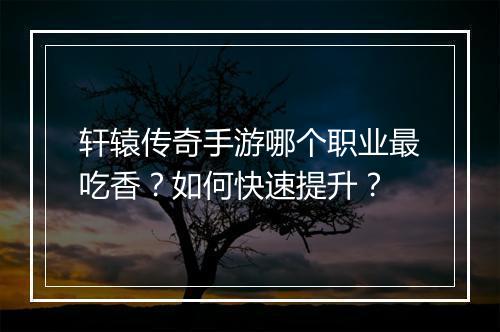 轩辕传奇手游哪个职业最吃香？如何快速提升？