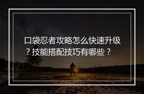 口袋忍者攻略怎么快速升级？技能搭配技巧有哪些？