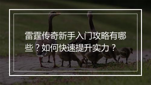 雷霆传奇新手入门攻略有哪些？如何快速提升实力？
