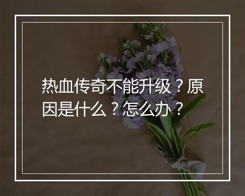 热血传奇不能升级？原因是什么？怎么办？