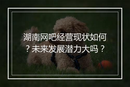 湖南网吧经营现状如何？未来发展潜力大吗？