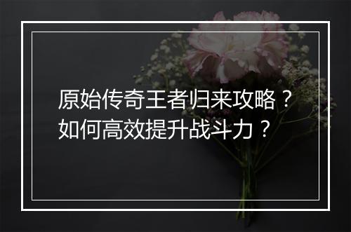 原始传奇王者归来攻略？如何高效提升战斗力？