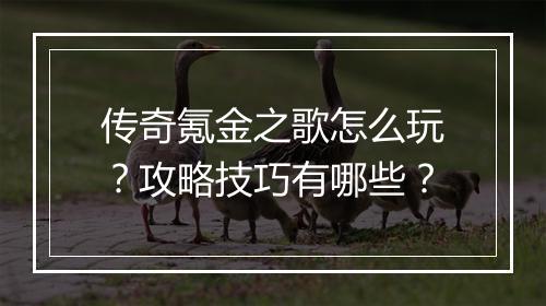 传奇氪金之歌怎么玩？攻略技巧有哪些？