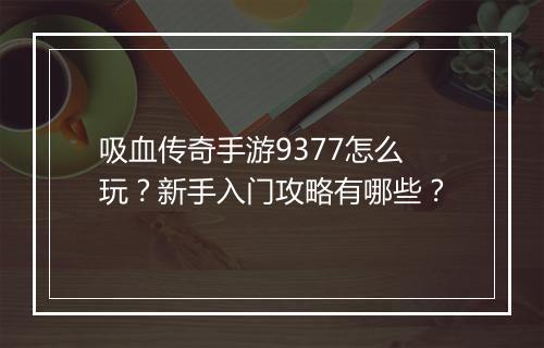 吸血传奇手游9377怎么玩？新手入门攻略有哪些？