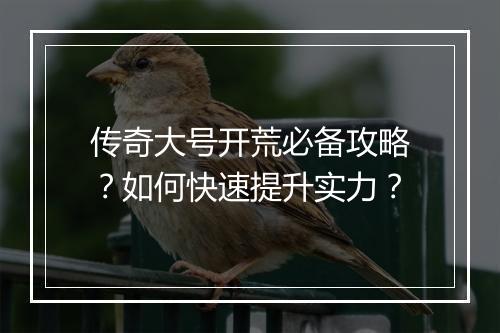 传奇大号开荒必备攻略？如何快速提升实力？