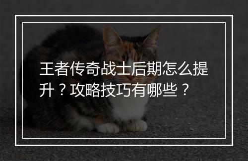 王者传奇战士后期怎么提升？攻略技巧有哪些？