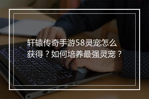 轩辕传奇手游58灵宠怎么获得？如何培养最强灵宠？