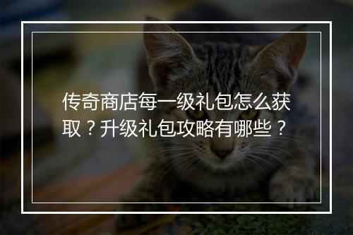 传奇商店每一级礼包怎么获取？升级礼包攻略有哪些？