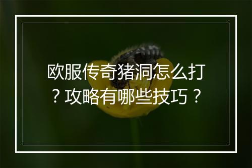 欧服传奇猪洞怎么打？攻略有哪些技巧？