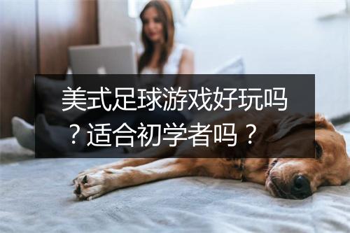 美式足球游戏好玩吗？适合初学者吗？