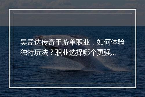 吴孟达传奇手游单职业，如何体验独特玩法？职业选择哪个更强势？