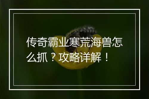 传奇霸业寒荒海兽怎么抓？攻略详解！