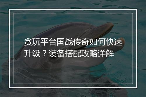 贪玩平台国战传奇如何快速升级？装备搭配攻略详解