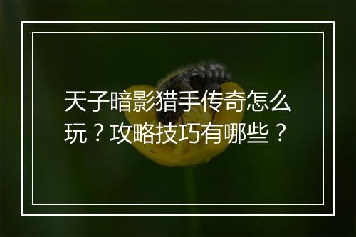天子暗影猎手传奇怎么玩？攻略技巧有哪些？