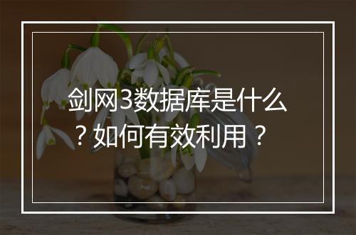 剑网3数据库是什么？如何有效利用？