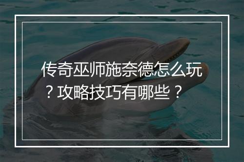 传奇巫师施奈德怎么玩？攻略技巧有哪些？