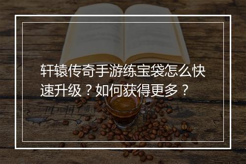 轩辕传奇手游练宝袋怎么快速升级？如何获得更多？