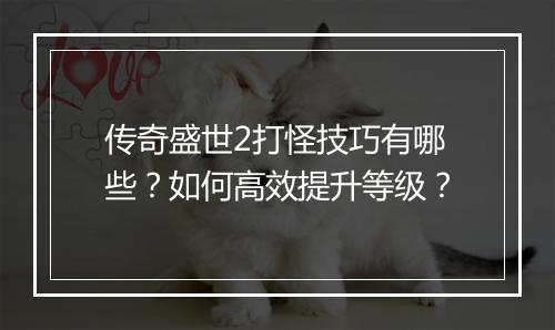传奇盛世2打怪技巧有哪些？如何高效提升等级？