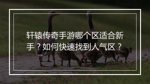 轩辕传奇手游哪个区适合新手？如何快速找到人气区？