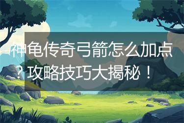 神龟传奇弓箭怎么加点？攻略技巧大揭秘！