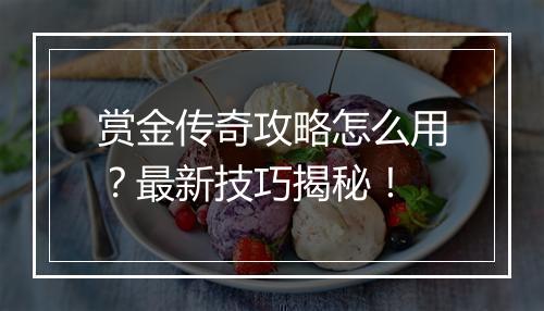 赏金传奇攻略怎么用？最新技巧揭秘！